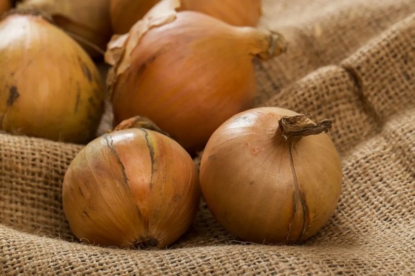 Сравнение цен на лук сентябрь 2025 vs 2024: Насколько выгодно купить лук сейчас