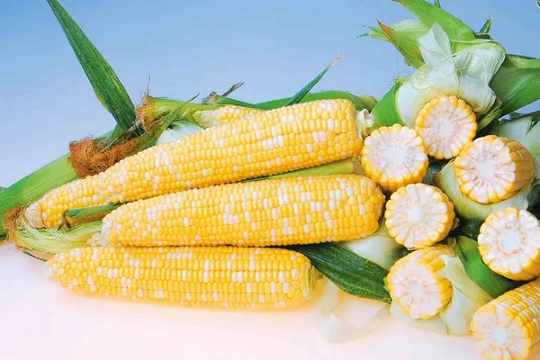 Экономический обзор: Дисбаланс спроса и предложения вызвал рост цен на кукурузу