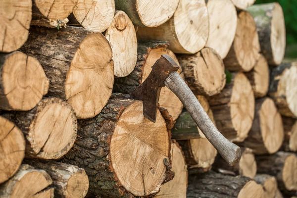 Субсидии 2025/2026: Срок подачи документов и критические причины для отказа