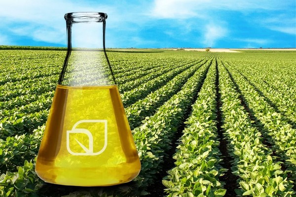 Производство биодизеля в Бразилии выросло на 7,3%: Основные цифры аграрного рынка 2025