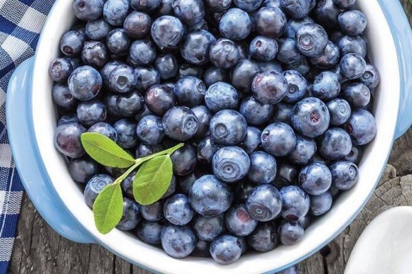 Малые фермы и «эффект холодильника»: почему отсутствие инфраструктуры обвалило цены на голубику