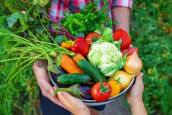 Цены на продукты: Какие овощи подорожали на 281% с начала войны, а какие подешевели