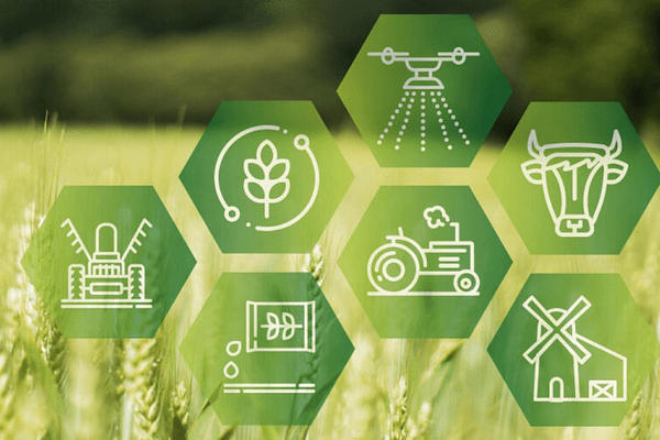 Что экспортирует и импортирует Центральная Азия по новому Плану безопасности