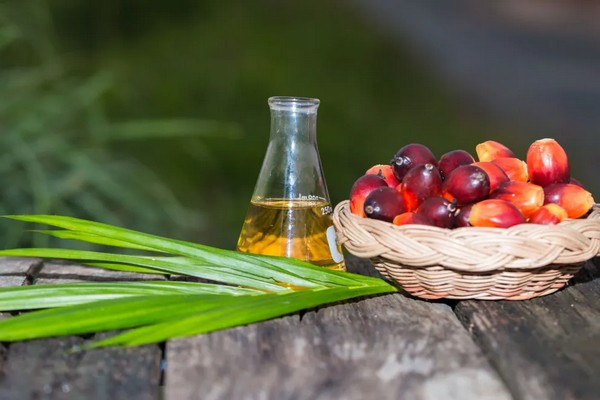 Пальмовое масло вне закона: как экологическая дискуссия повлияла на национальные квоты ЕС