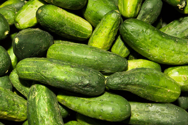 Потребитель платит за качество: почему украинские огурцы дороже импортных, но спрос на них стабилен