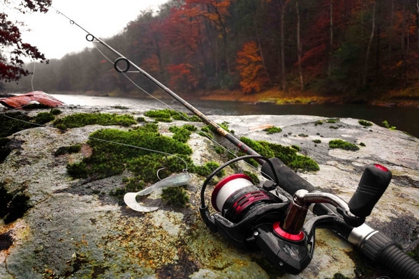 Как правильно выбрать удилище  и на что обратить внимание?