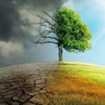 Путешествия без отходов: переход на экологичное потребление в современных реалиях