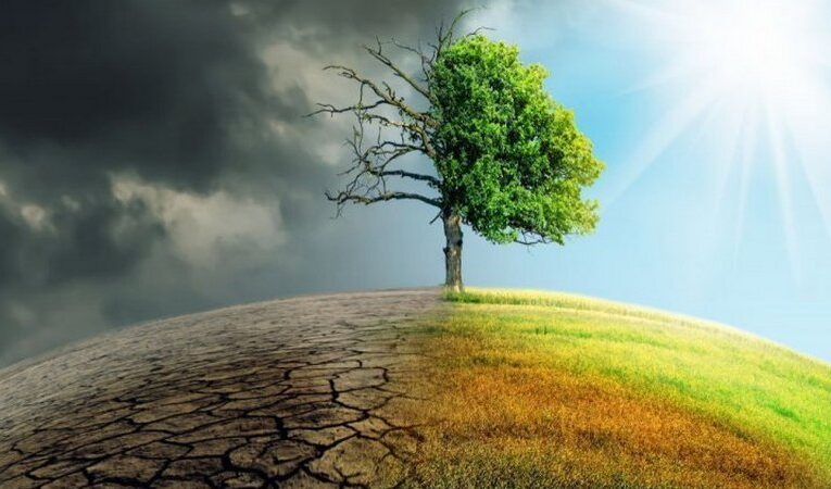 Путешествия без отходов: переход на экологичное потребление в современных реалиях