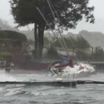 Природа берет свое: как шторм «Дейв» повлиял на жизнь Южной Норвегии