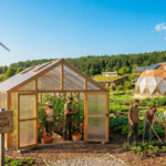 Жизнь в экопоселениях: осознанный уход от городских стандартов потребления