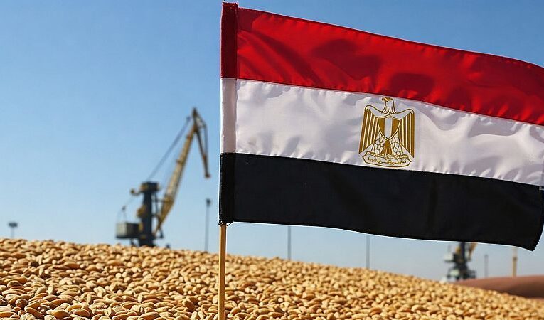 Частный сектор Египта наращивает импорт дешевой пшеницы из Украины и россии