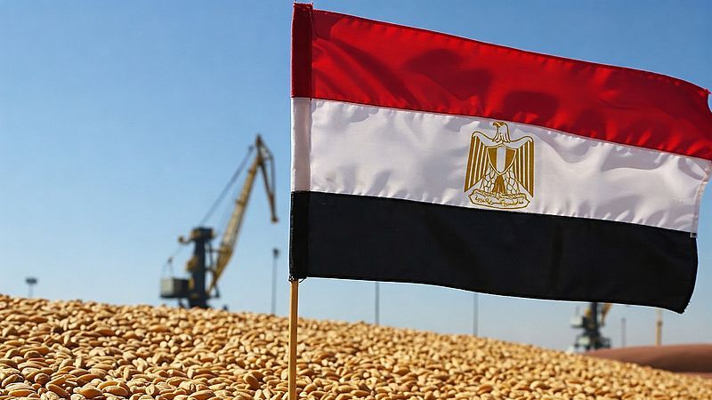 Частный сектор Египта наращивает импорт дешевой пшеницы из Украины и россии