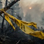 Оградительная лента безопасности на фоне задымленного лесного массива