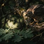 Старинные песочные часы на деревянной подставке, стоящие на чертеже карты мира у окна